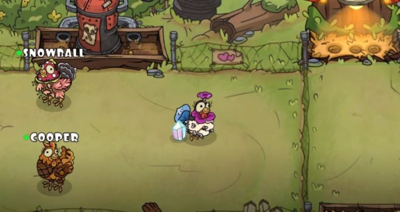 Chicken Craft