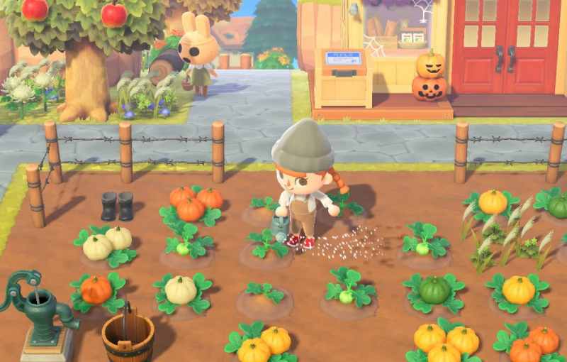 Animal Crossing: New Horizons